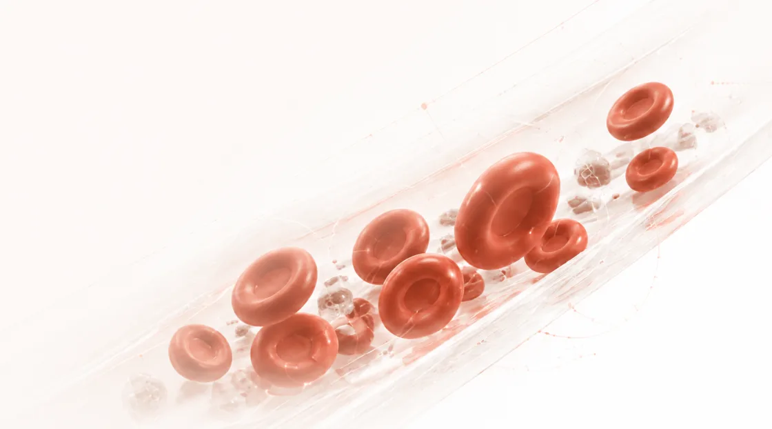 Red blood cells travelling through a vessel at normal pressure